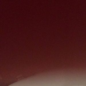 Meet your Posher, Isabel